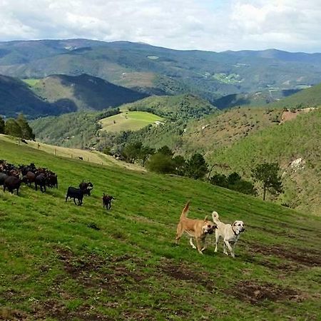 Hotel Rural Yeguada Albeitar Villayón Εξωτερικό φωτογραφία