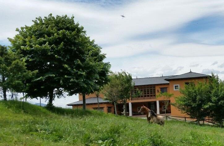 Hotel Rural Yeguada Albeitar Villayón Εξωτερικό φωτογραφία