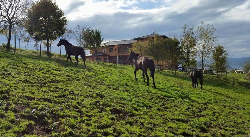 Hotel Rural Yeguada Albeitar Villayón Εξωτερικό φωτογραφία