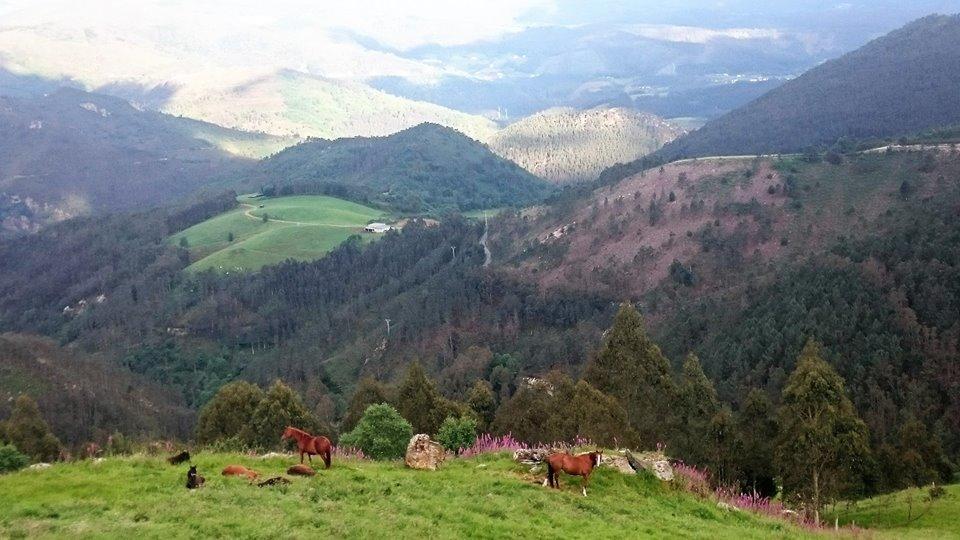 Hotel Rural Yeguada Albeitar Villayón Εξωτερικό φωτογραφία